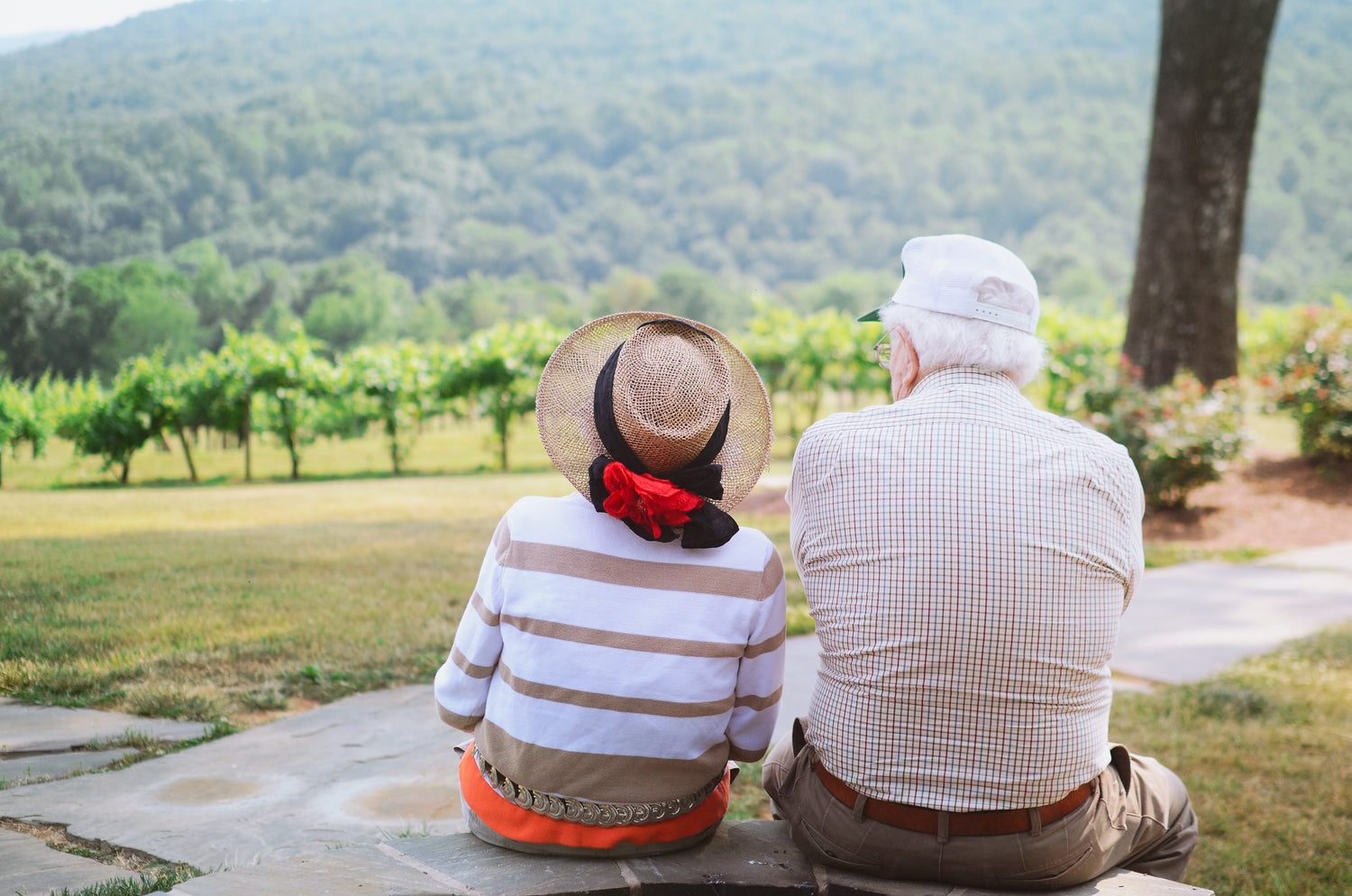 Celebrating Grandparents Day
